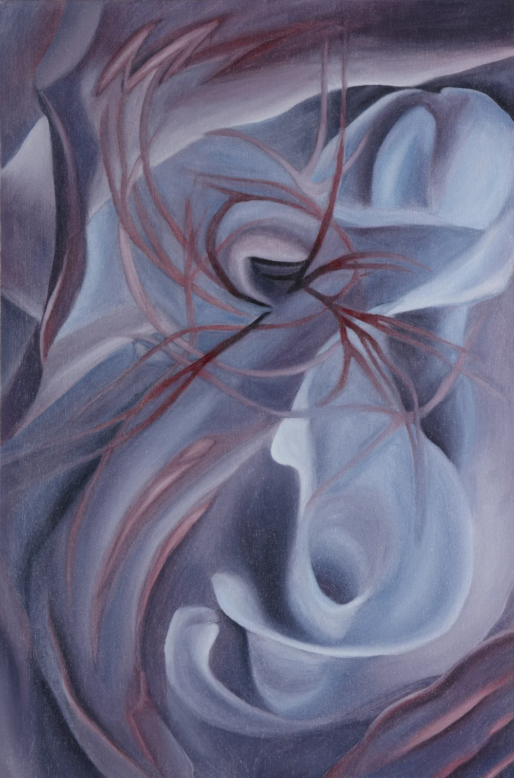 Calla+Lily+f20-20402+crop