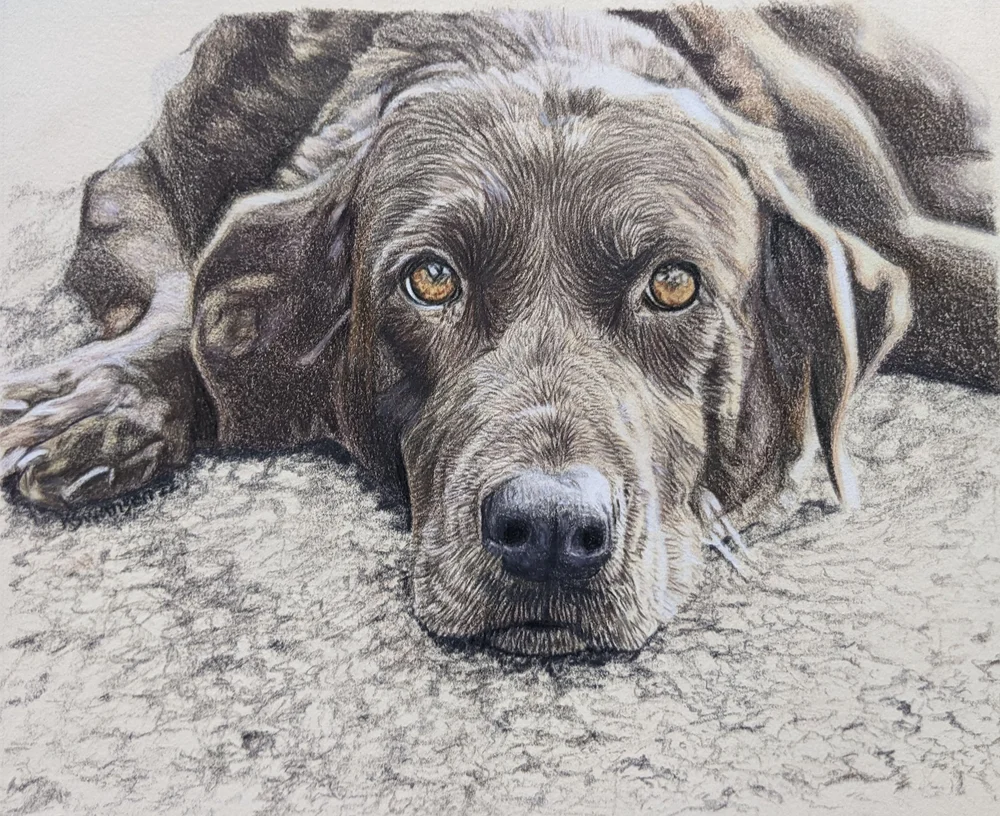 matt+crosby.finalcrop